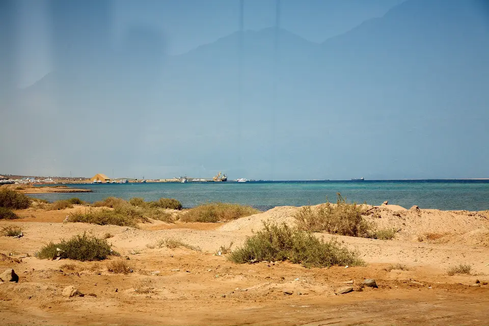 سفاجا