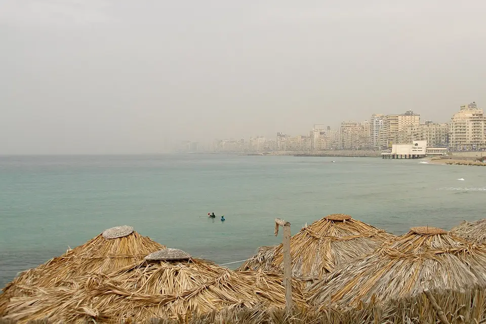 العجمي