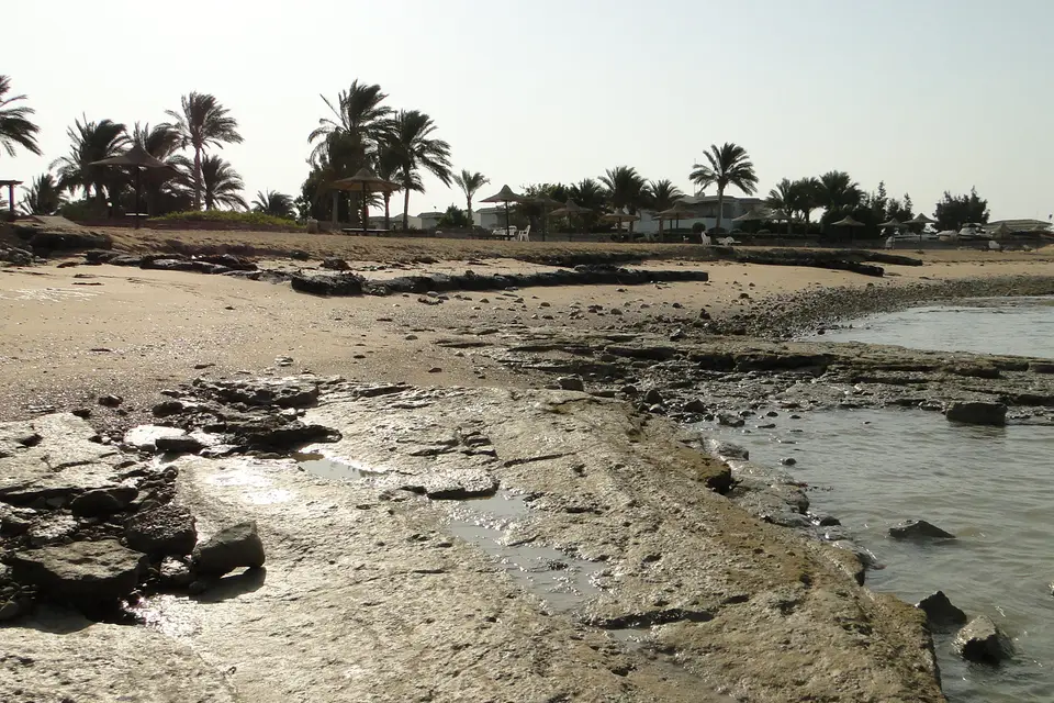 راس سدر